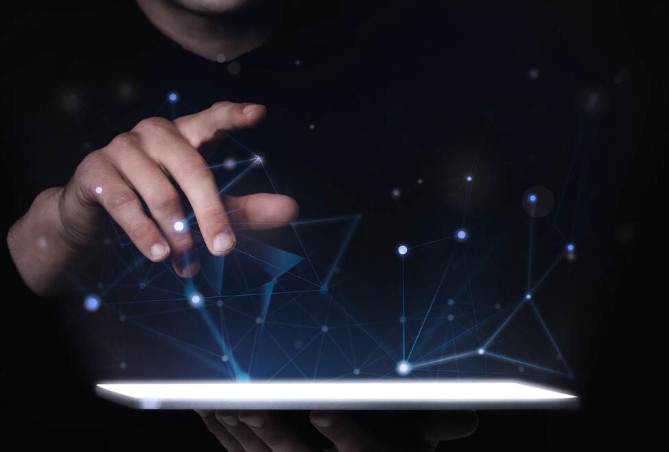 香水百合代表什么意思 香水百合简谱